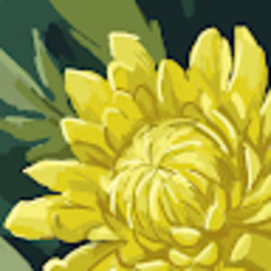 Meet your Posher, Ida